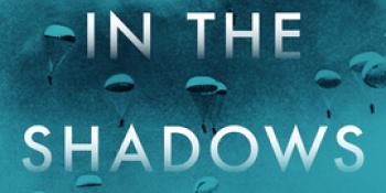 in the shadows book
